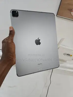 Apple iPad Pro 13 (2024) 256 GB Gray