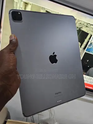 Apple iPad Pro 13 (2024) 256 GB Gray