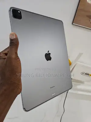 Apple iPad Pro 13 (2024) 256 GB Gray