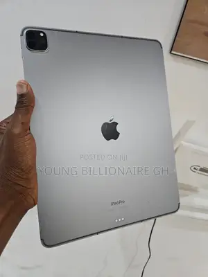 Apple iPad Pro 13 (2024) 256 GB Gray