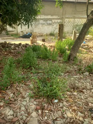 One and Quarter Plot for Lease at La Veterinary Hospital