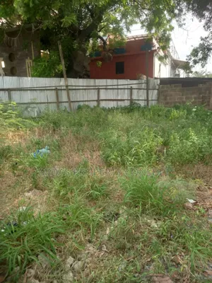 One and Quarter Plot for Lease at La Veterinary Hospital