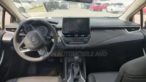 Toyota Corolla 2020 Gray