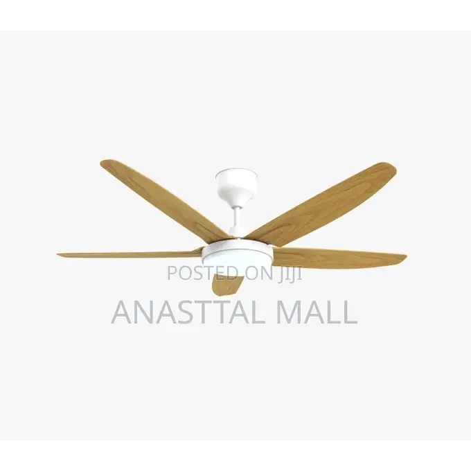 5 Blades Modern Art Ceiling Fan With Light
