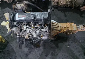 Car Engine Toyota Fish and Hilux