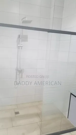Professional Plumber