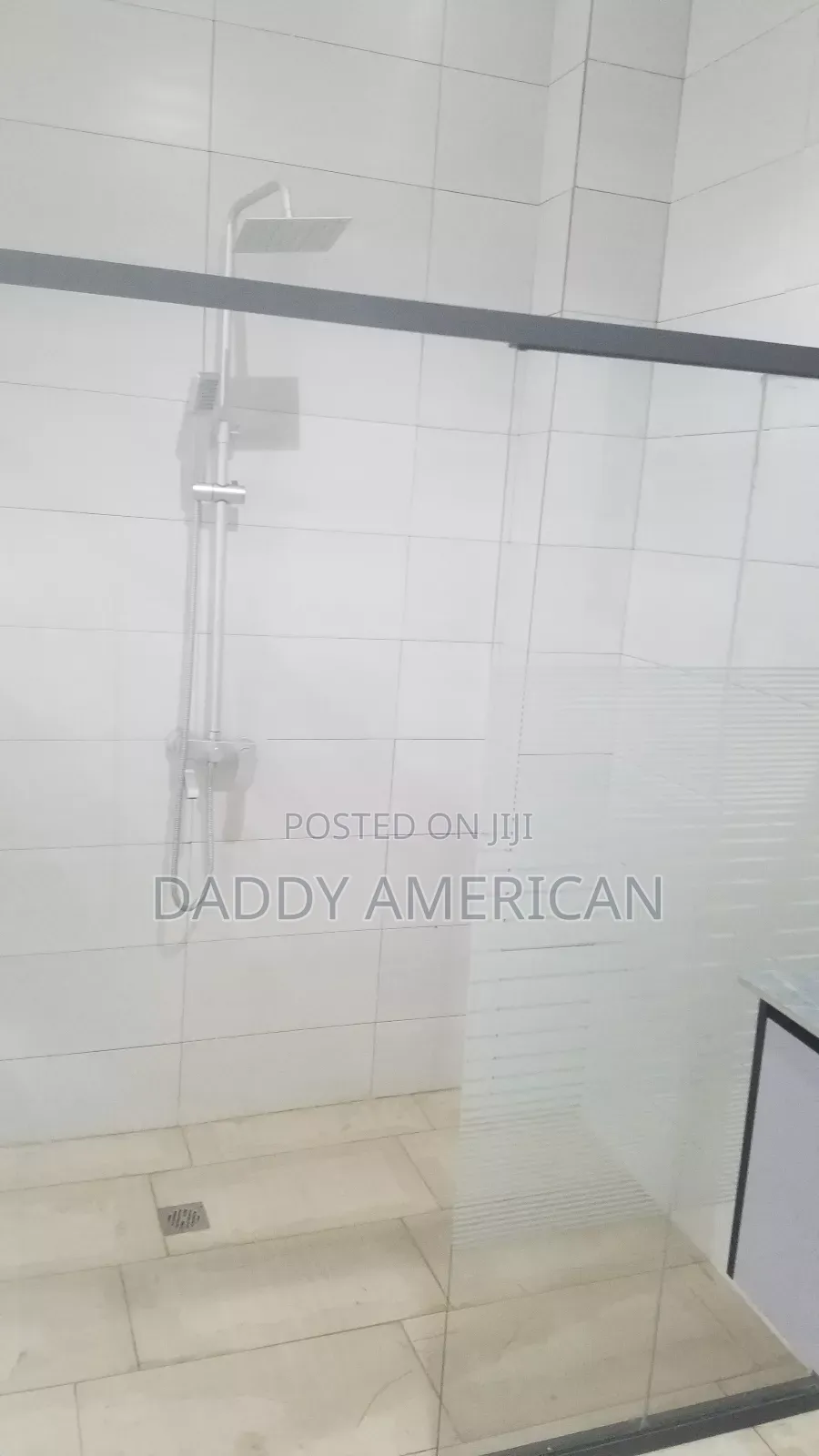 Professional Plumber