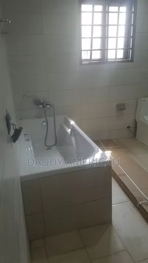 Professional Plumber