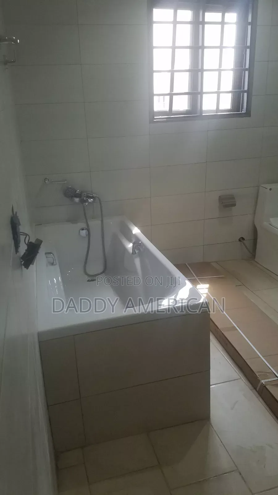 Professional Plumber