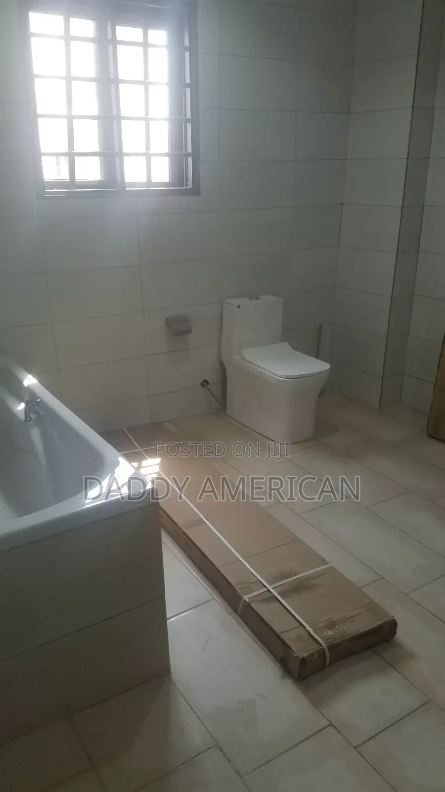 Professional Plumber
