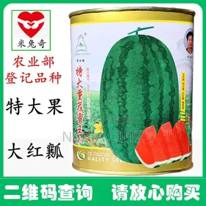 Watermelon Seed