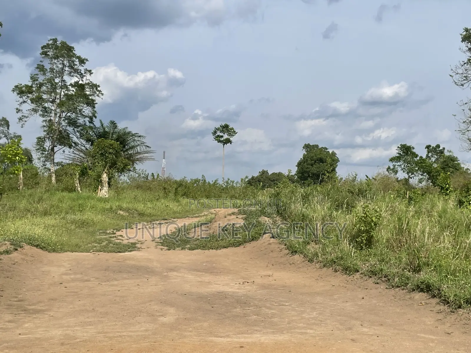 Poultry Land for Sale in Nsawam