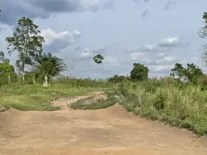 Poultry Land for Sale in Nsawam