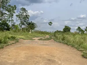 Poultry Land for Sale in Nsawam