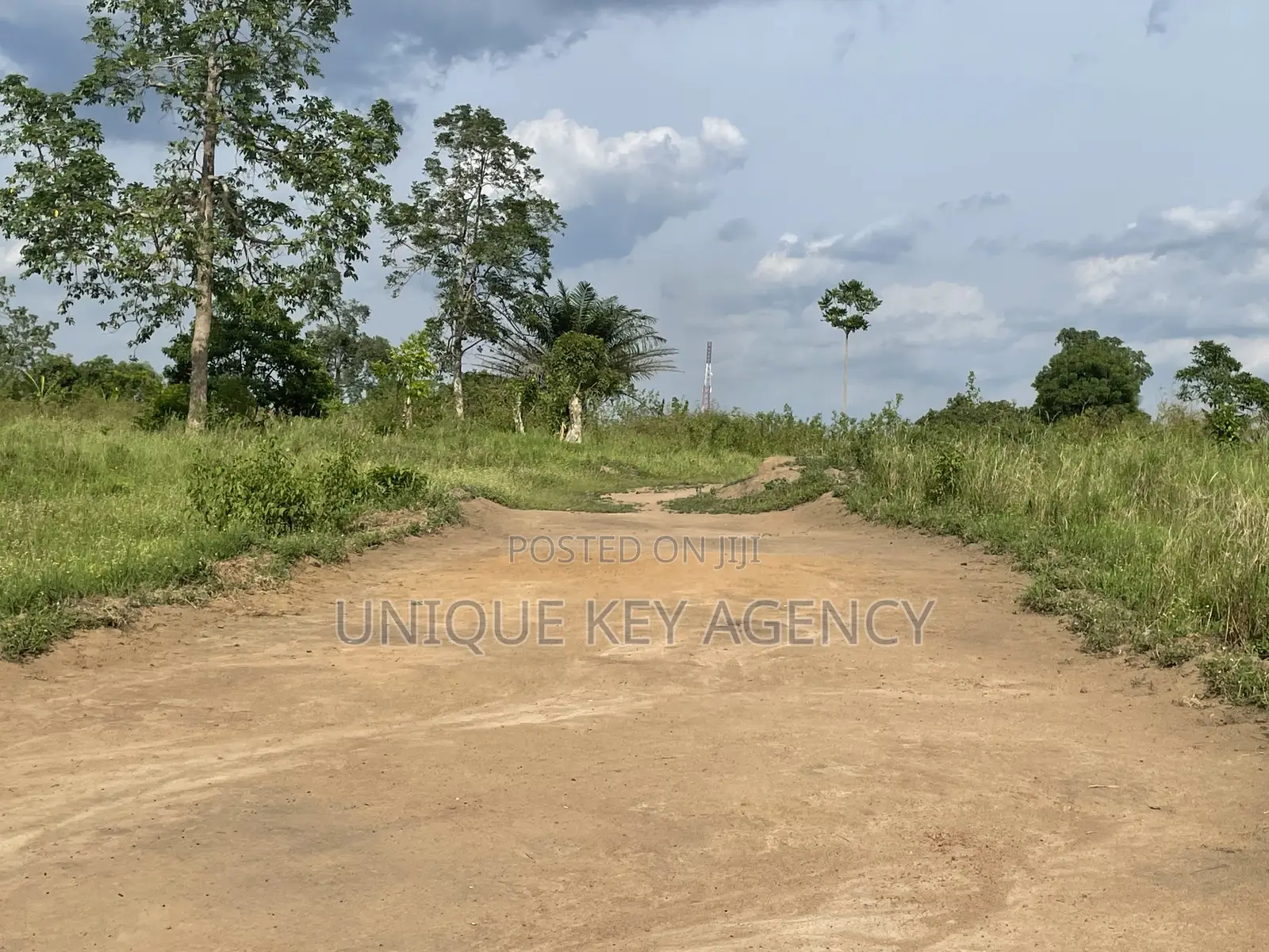 Poultry Land for Sale in Nsawam