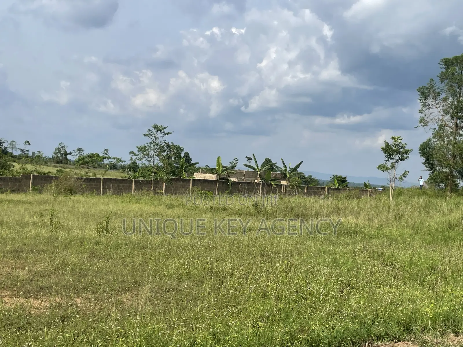 Poultry Land for Sale in Nsawam