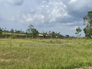Poultry Land for Sale in Nsawam