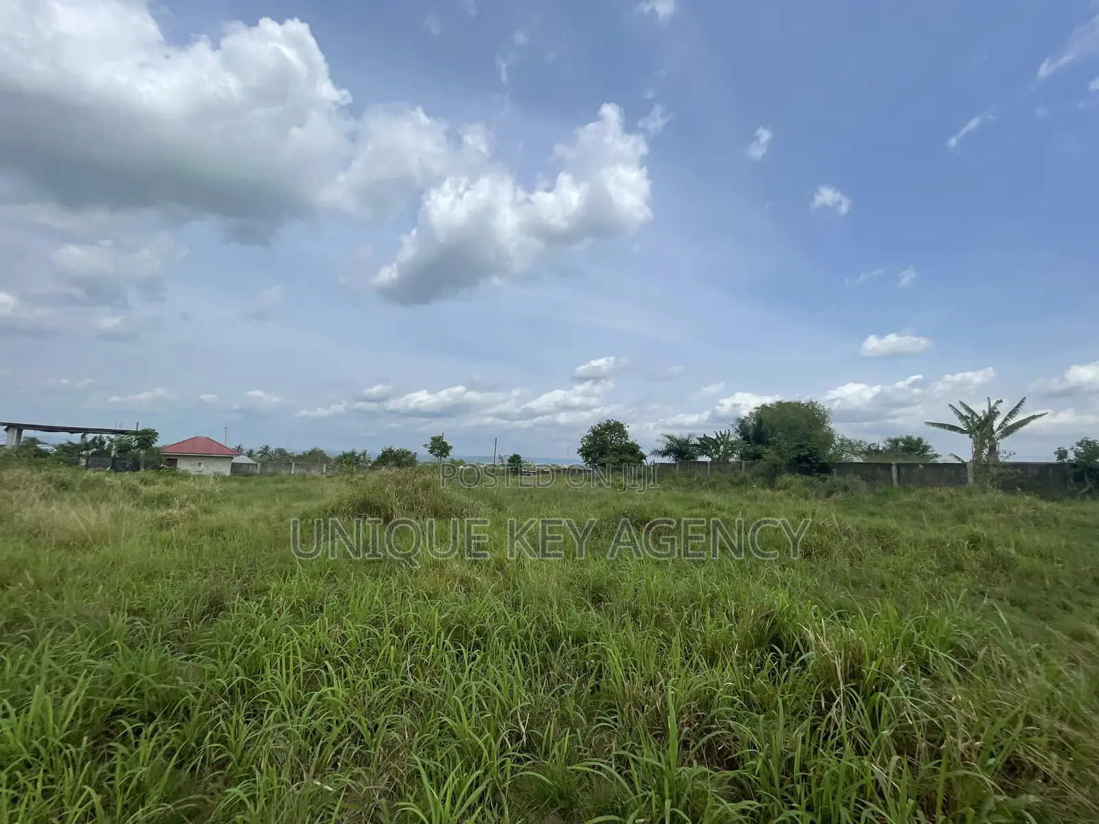 Poultry Land for Sale in Nsawam