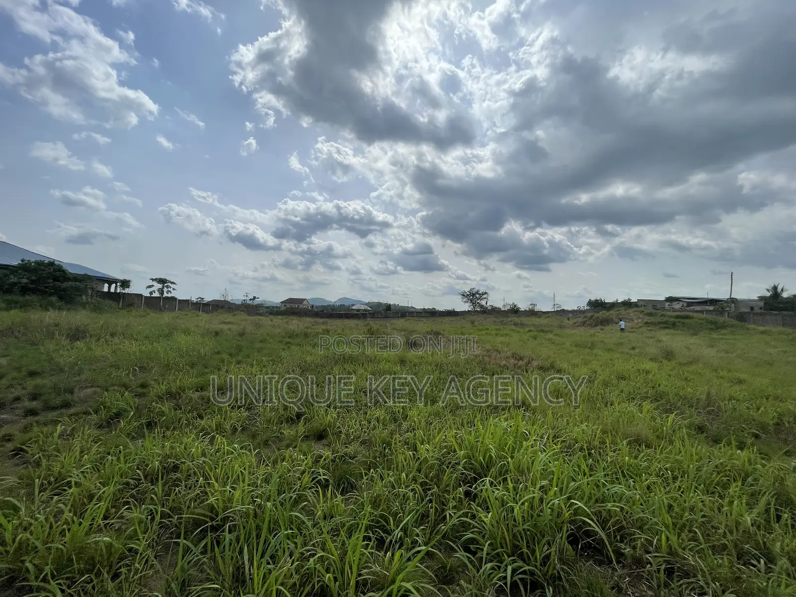 Poultry Land for Sale in Nsawam