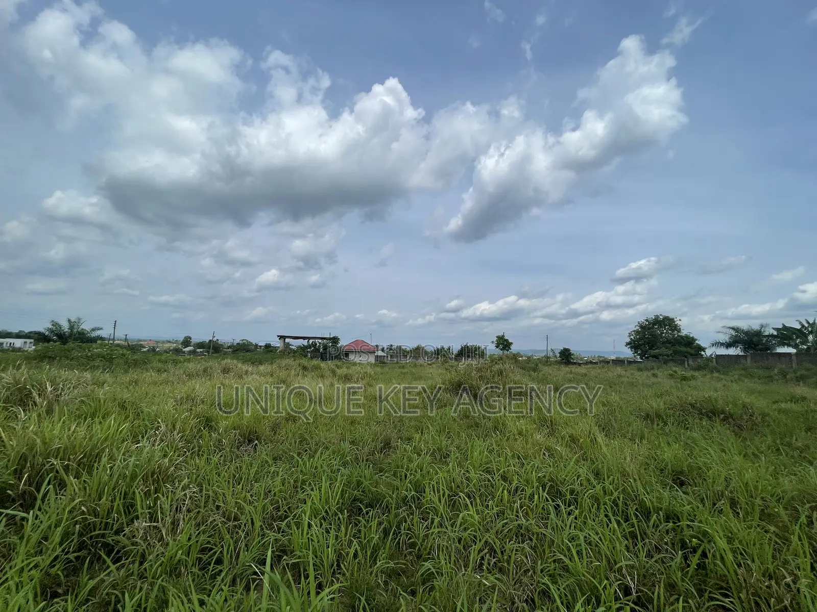 Poultry Land for Sale in Nsawam