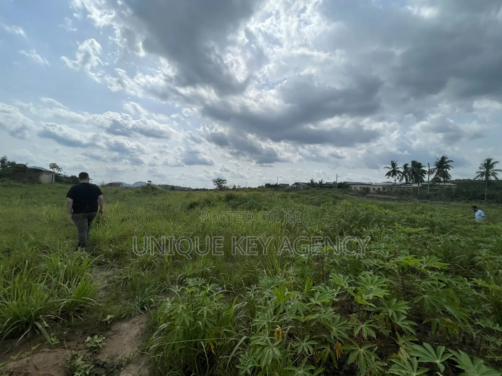 Poultry Land for Sale in Nsawam