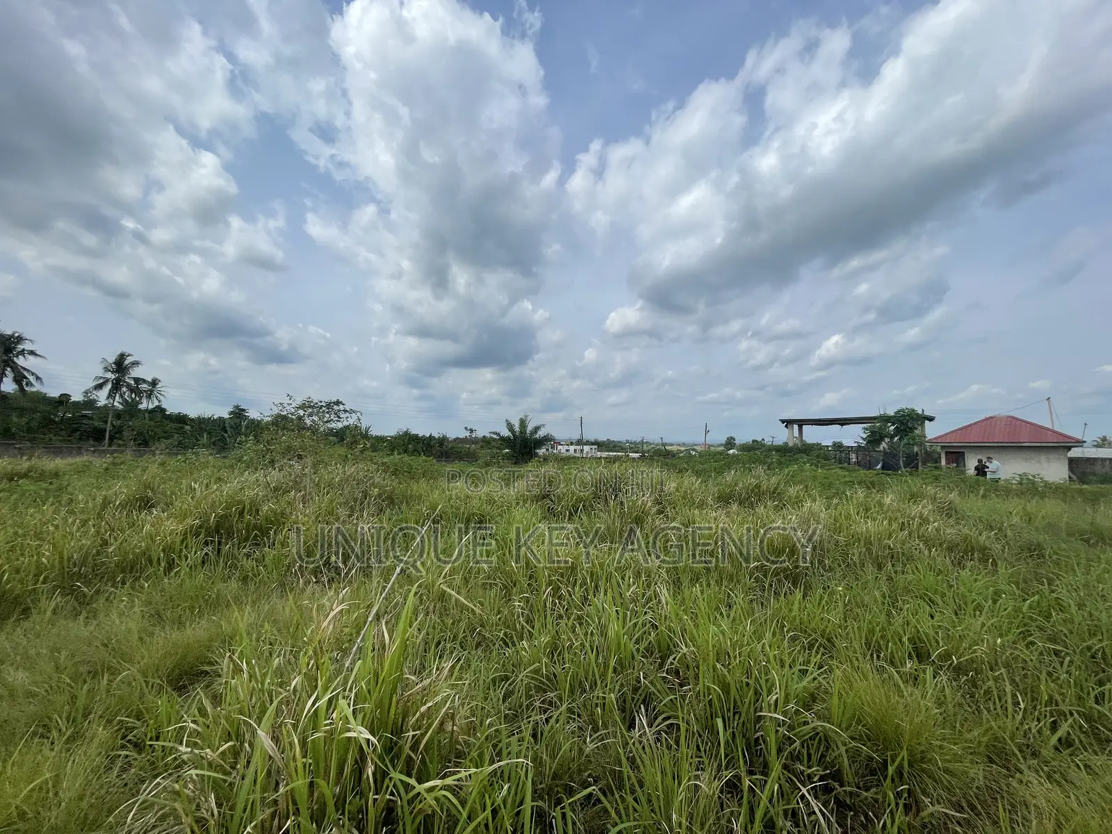 Poultry Land for Sale in Nsawam