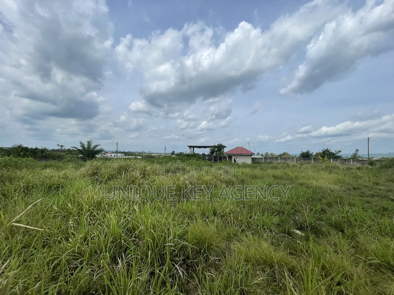 Poultry Land for Sale in Nsawam