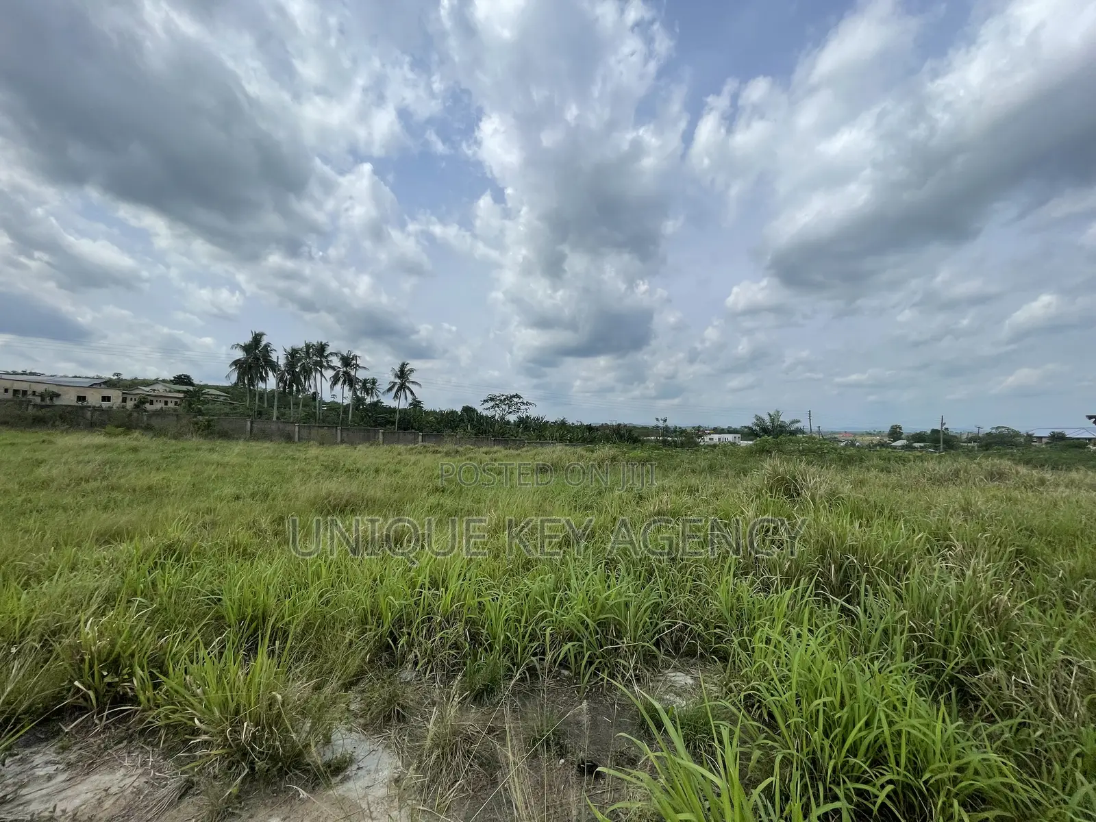 Poultry Land for Sale in Nsawam