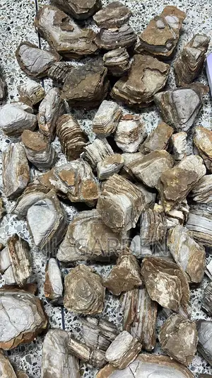 Melaleuca Stone (Aquarium Stone)