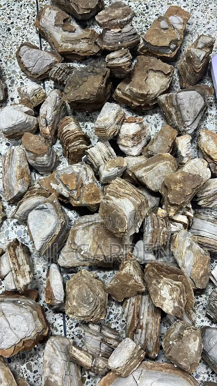 Melaleuca Stone (Aquarium Stone)