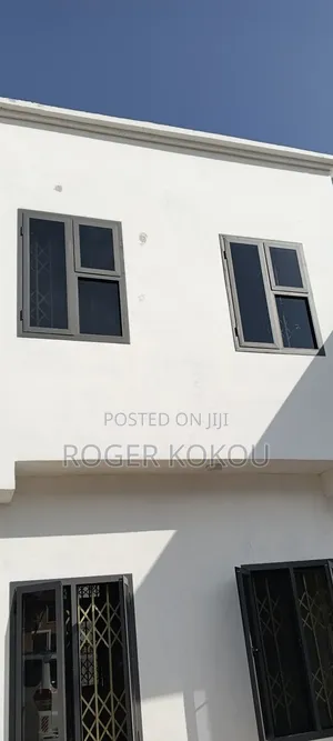 Projected Windows With Mosquito Net