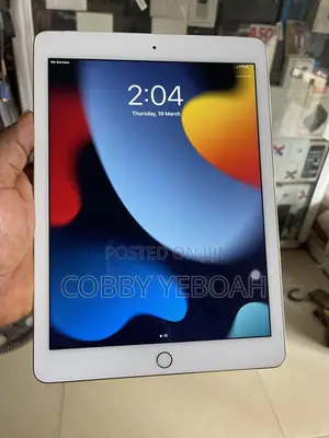 Apple iPad Air 2 32 GB Pink