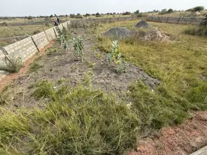 Two Plots of Land (Fully Fenced) 15 Mins From Central University