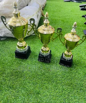 Trophy For Sale