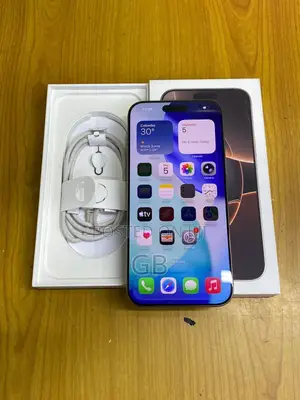 Apple iPhone 16 Pro Max 256 GB Silver