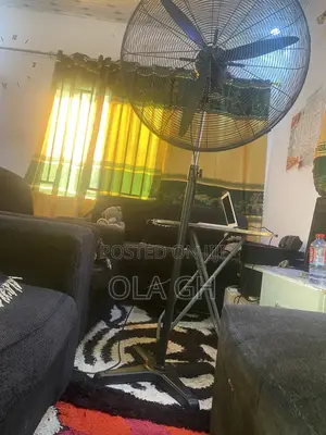 30 Inches Standing Fan