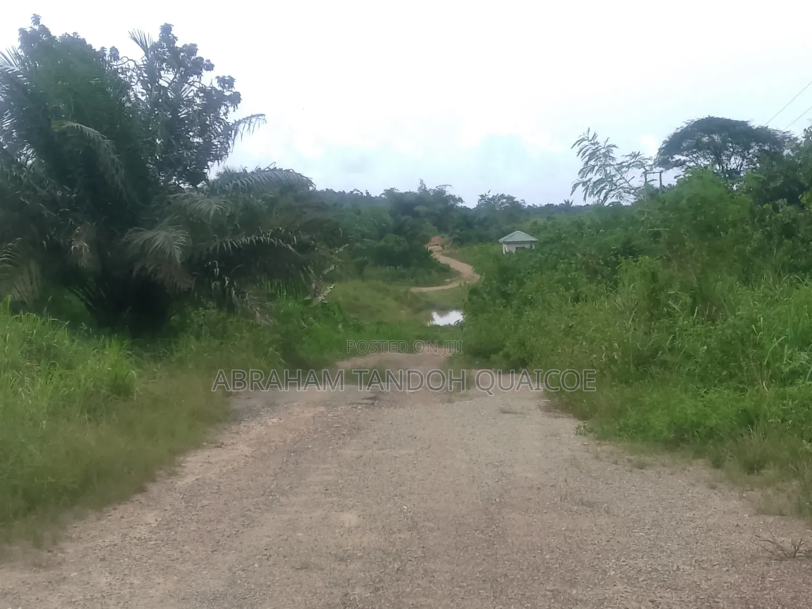Plot for Sale