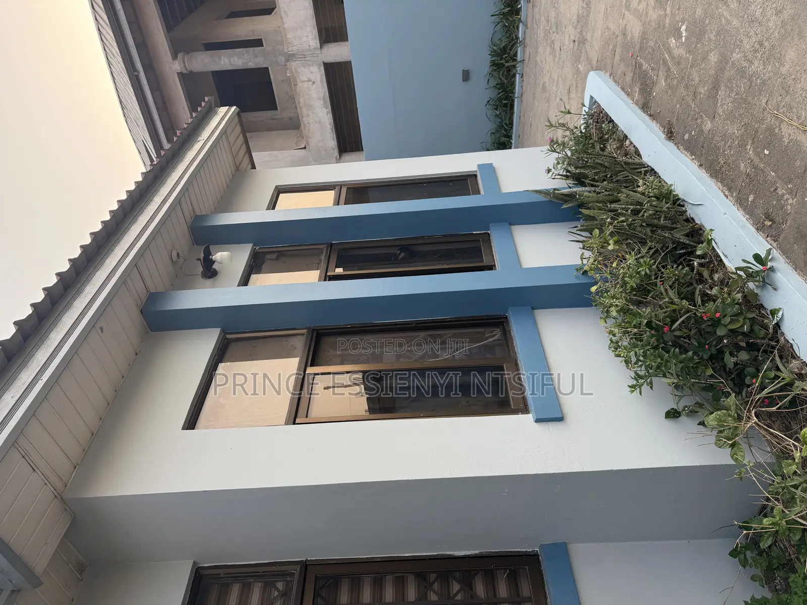 Painting Services