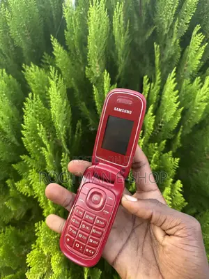 Samsung GT-E1080 Red
