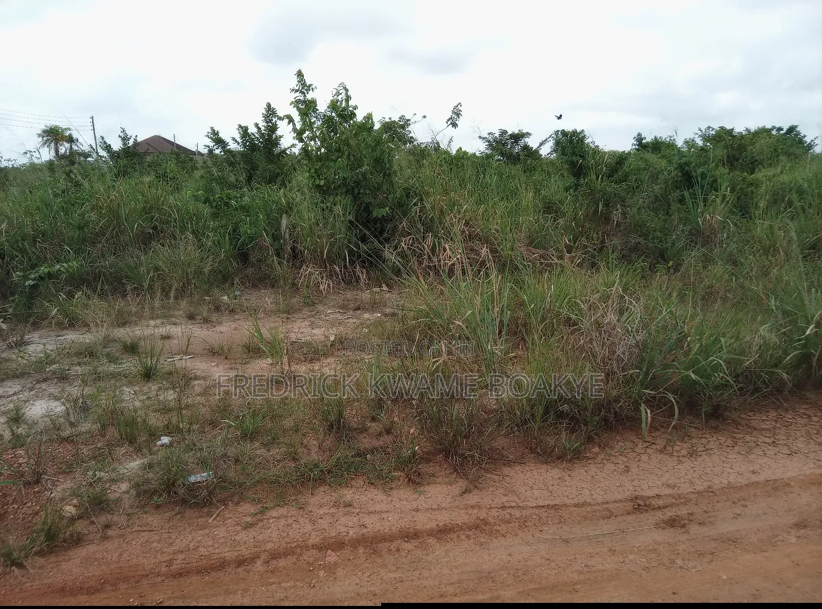 10 Plots of Estate Lands for Sale at Kwadaso Agric Akyeremade