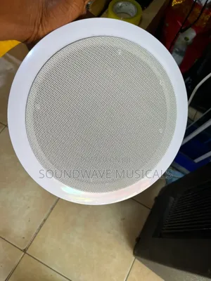 Pa Ceiling Speaker (Gls 1000)