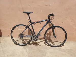 Road Mountain Bike