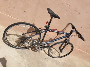 Road Mountain Bike
