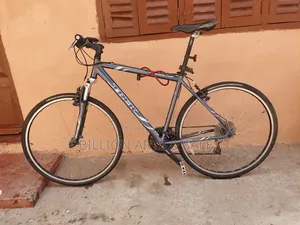 Road Mountain Bike