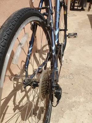 Road Mountain Bike