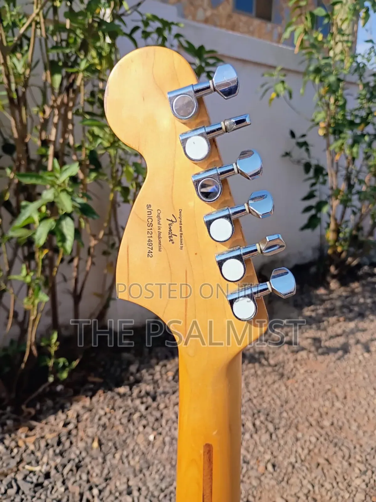 Squier Fender Deryck With Duncan Humbucker Pickups