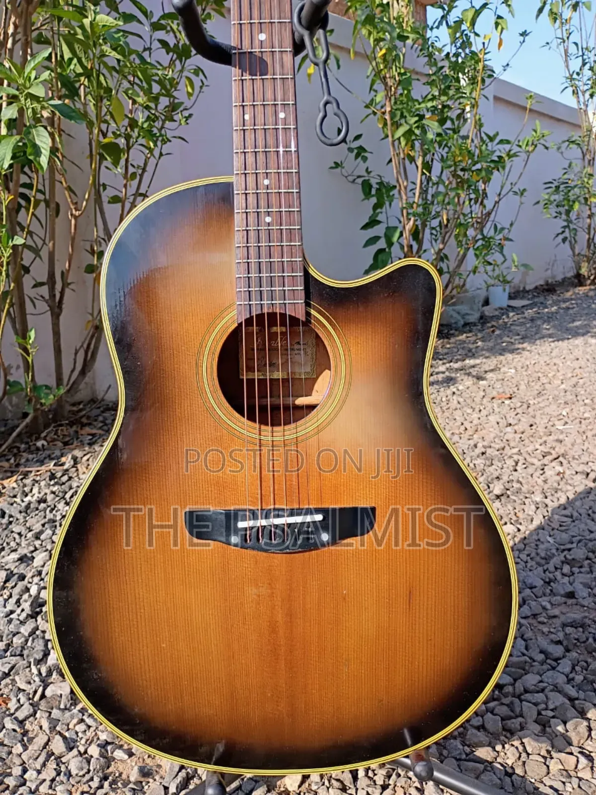 Rumbler by Morris Mr- Semi Acoustic Guitar