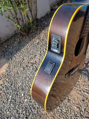 Rumbler by Morris Mr- Semi Acoustic Guitar