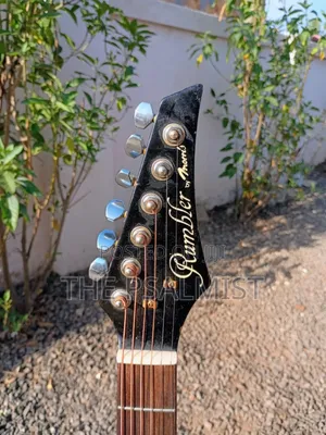 Rumbler by Morris Mr- Semi Acoustic Guitar