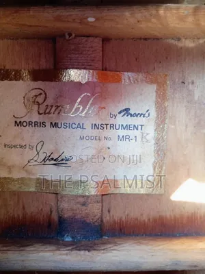 Rumbler by Morris Mr- Semi Acoustic Guitar